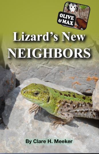 olive-max-lizards-new-neighbors.JPG