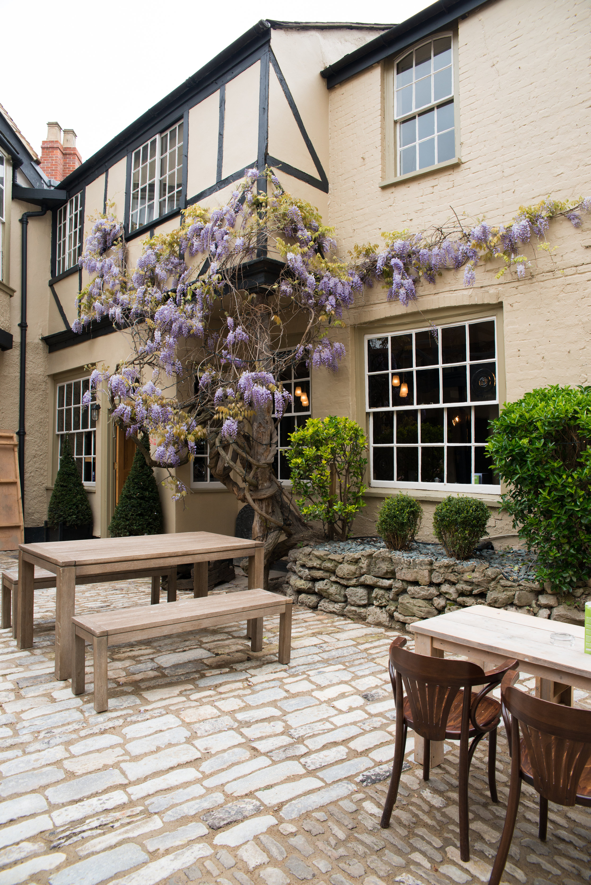 COURTYARD_WYSTERIA_PORTRAIT_1.jpg