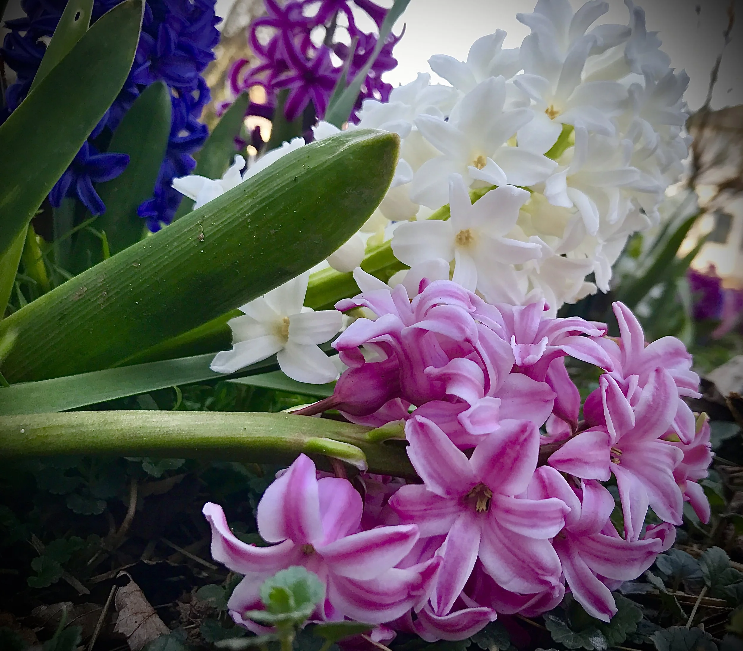 Fresh, Natural, Personalized 