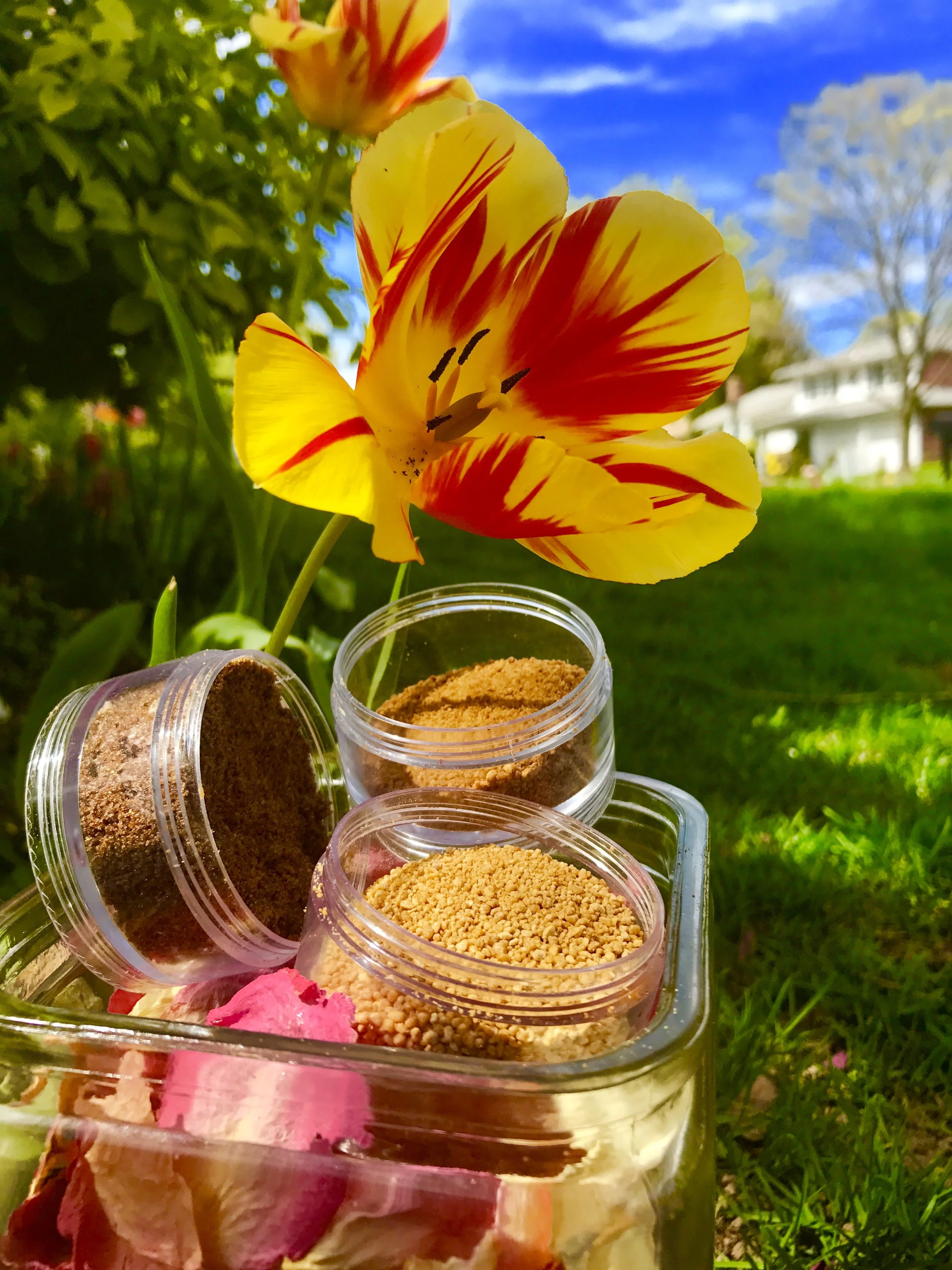 Recipe DIY Exfoliating Facial Scrub