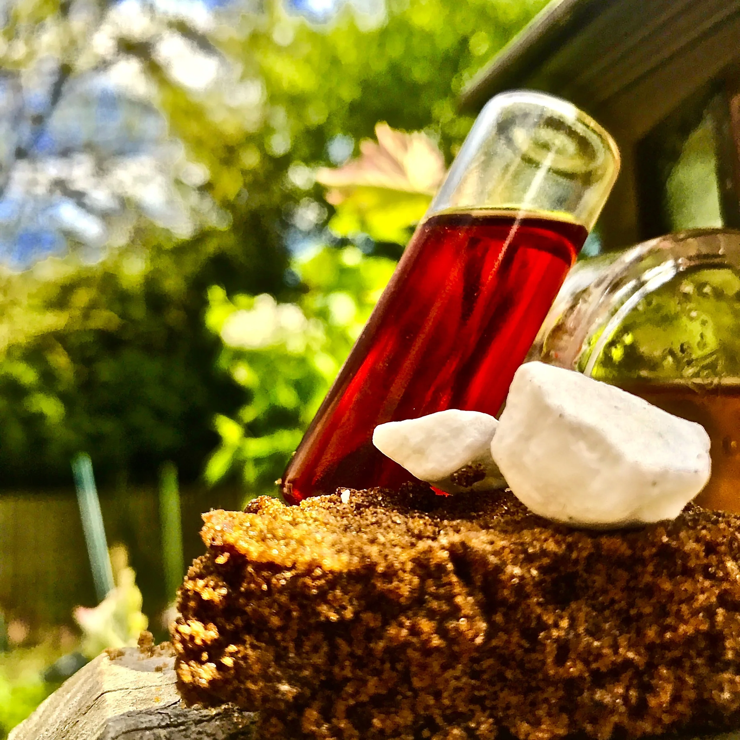 Kokum Butter... natural elasticity