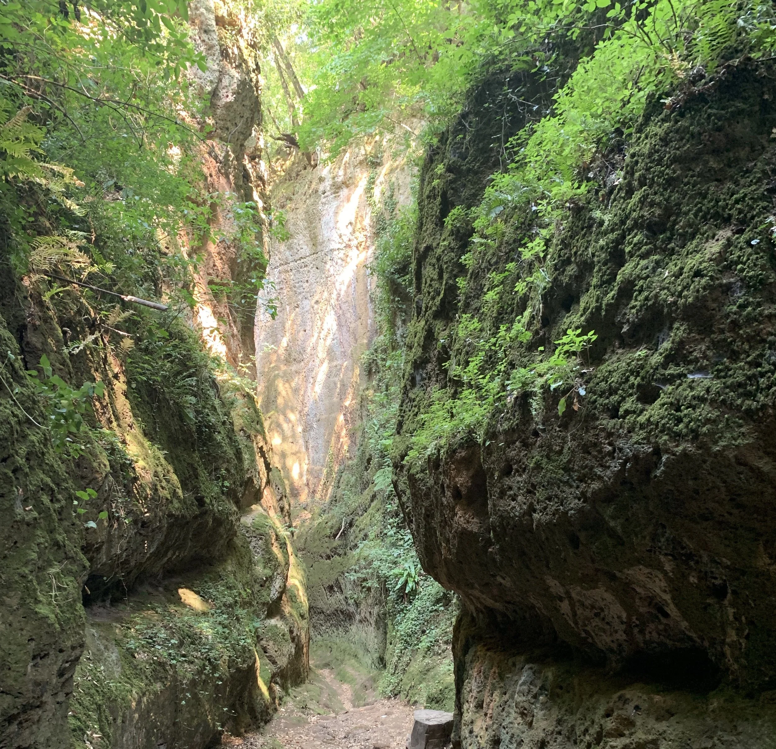 Prismatic Personalized DIY fresh, natural skin care subscription kit. Ingredients for serum, lip balm, clay mask, moisturizer, facial scrub