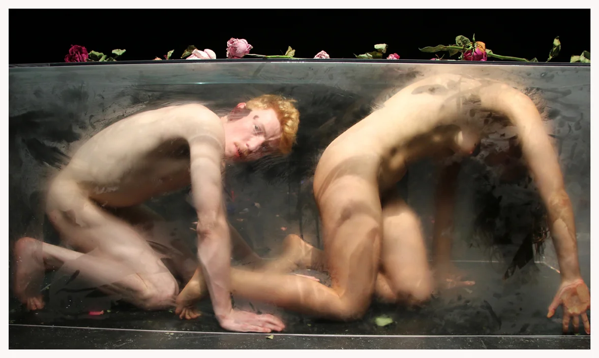 In Case-M van der Put.jpg