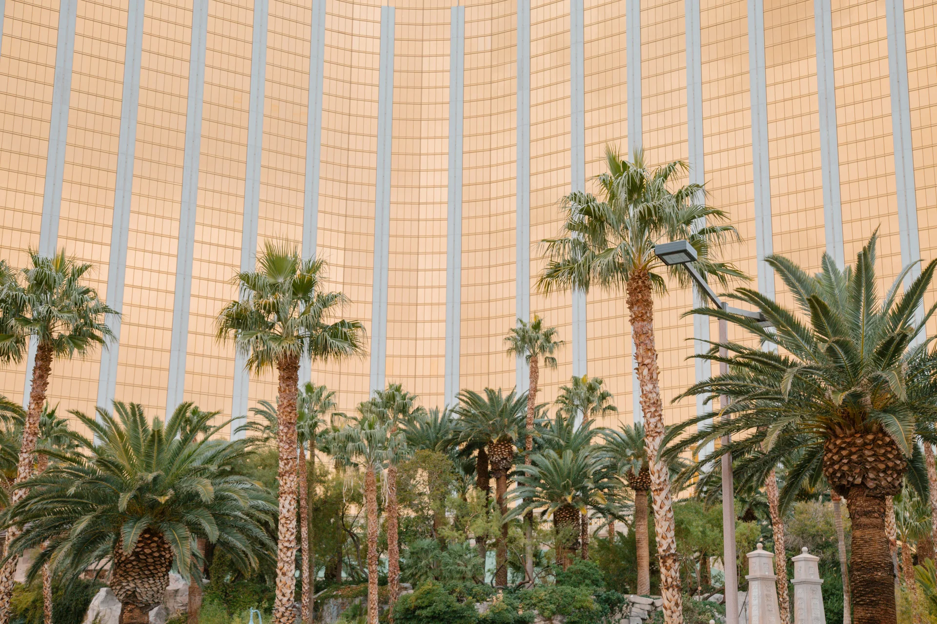 190112-vegas-7.jpg