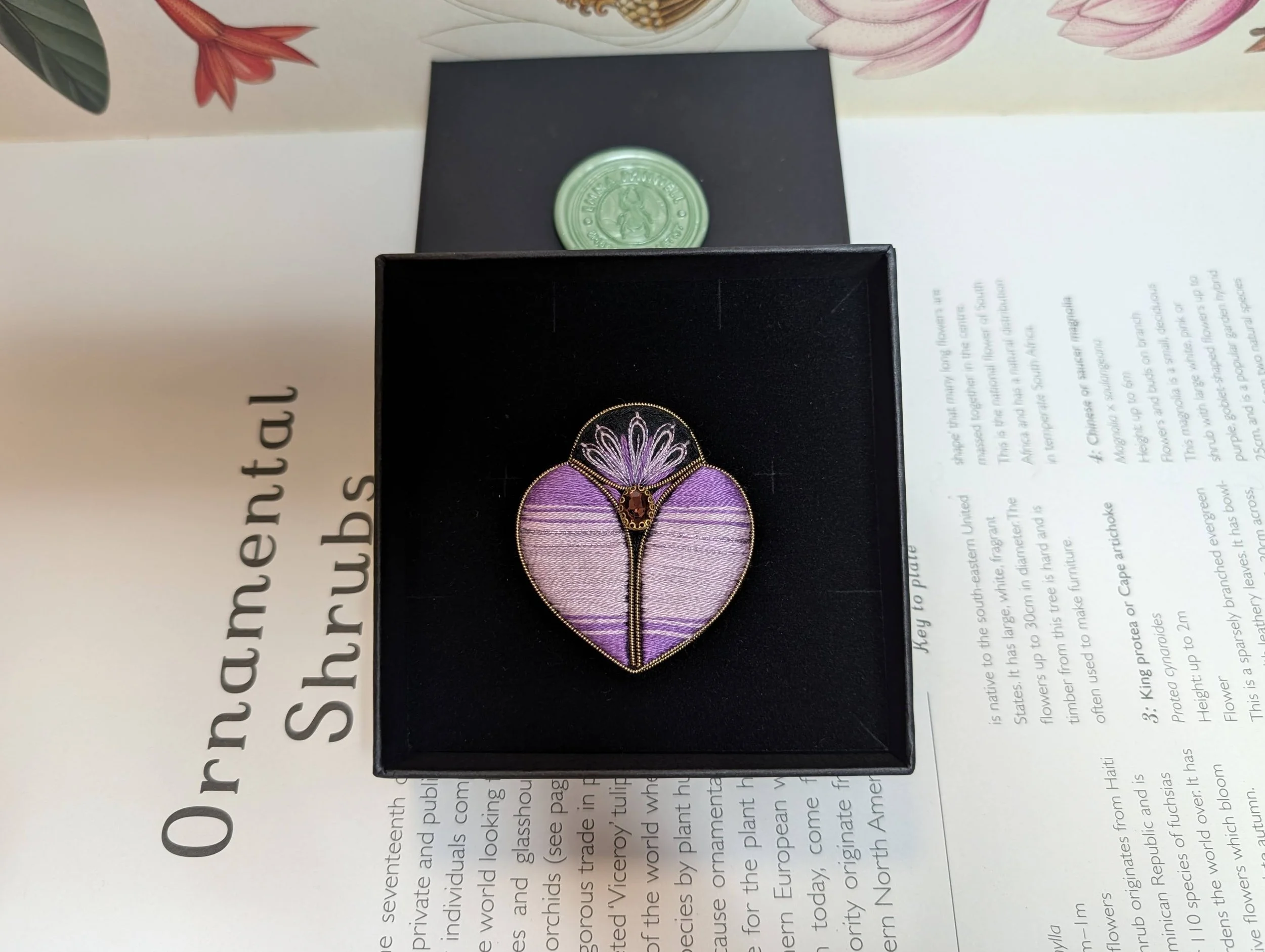 PXL_20260216_170739130.jpg (Copy)