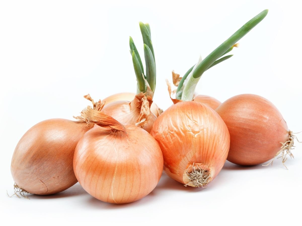 onions.jpg