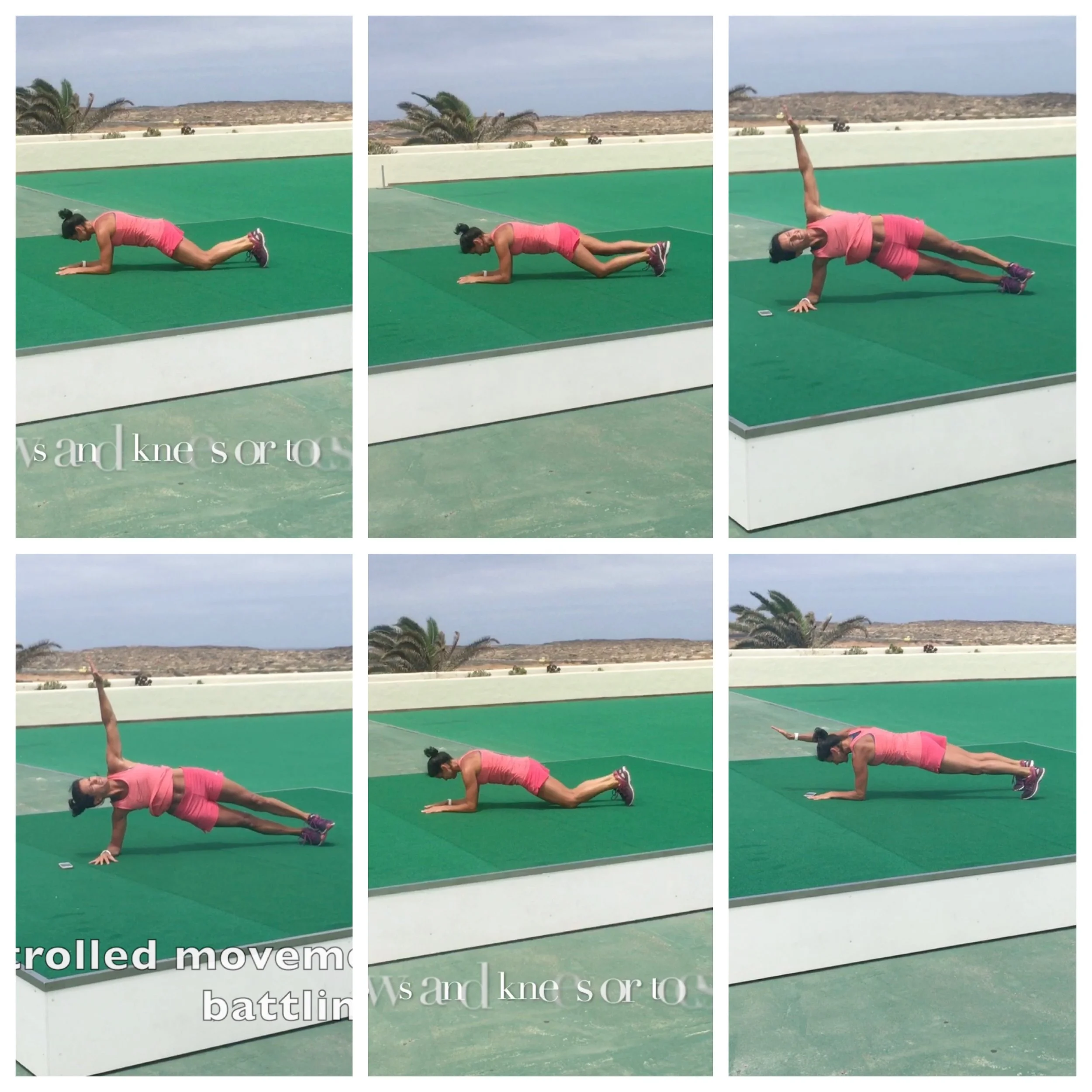 plank lanz.jpg