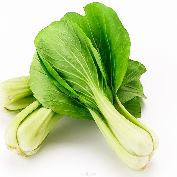 bok choy.jpg