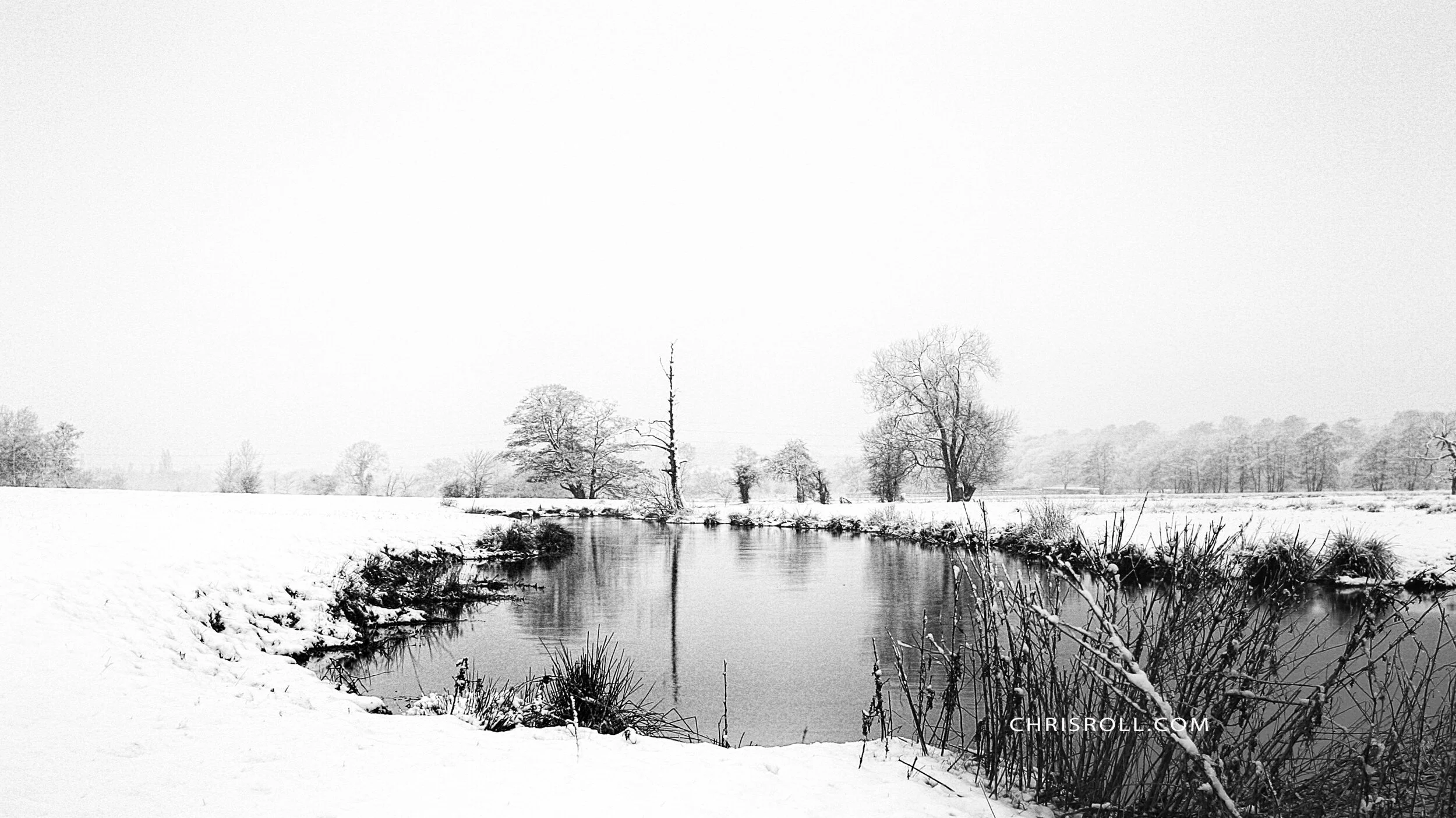 SURREY snow (c) Chris Roll.jpg