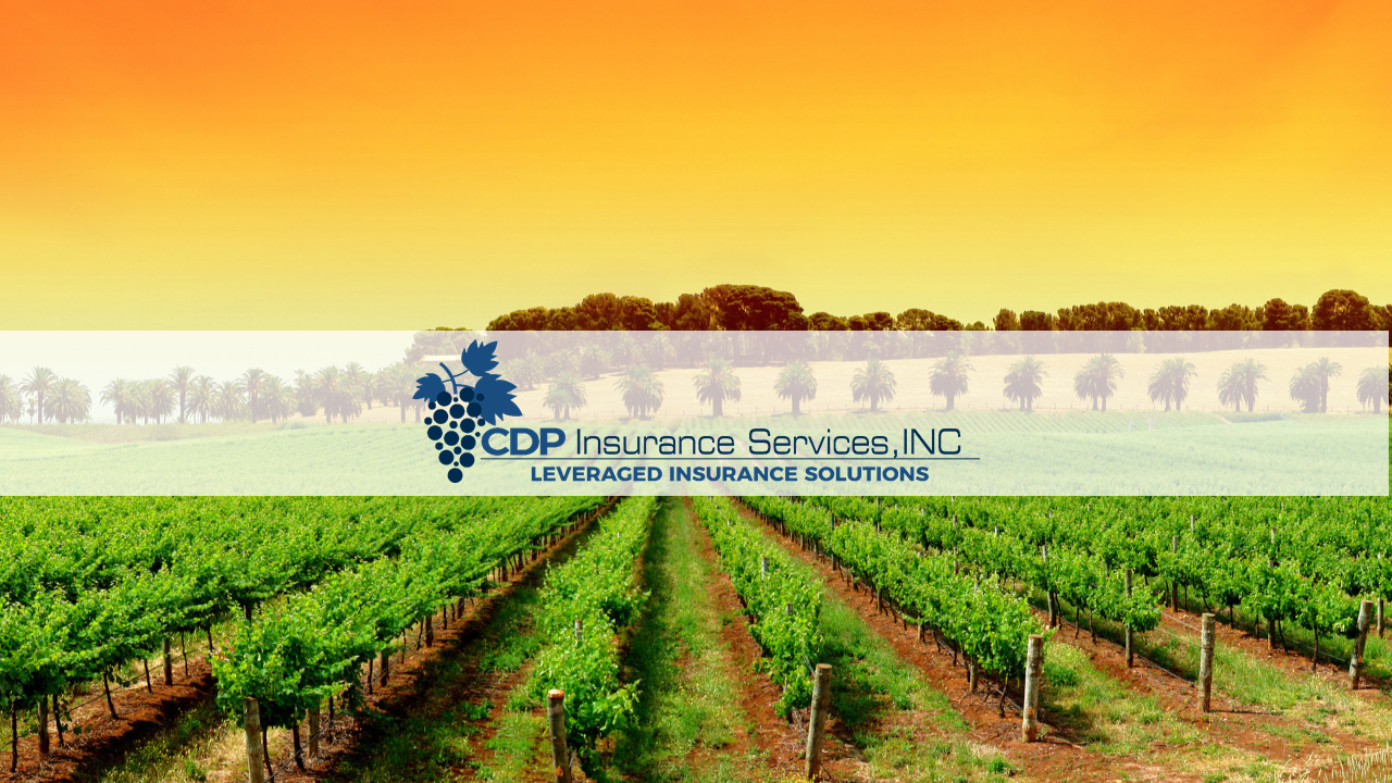 Banner Webiste  - CDP INC .png