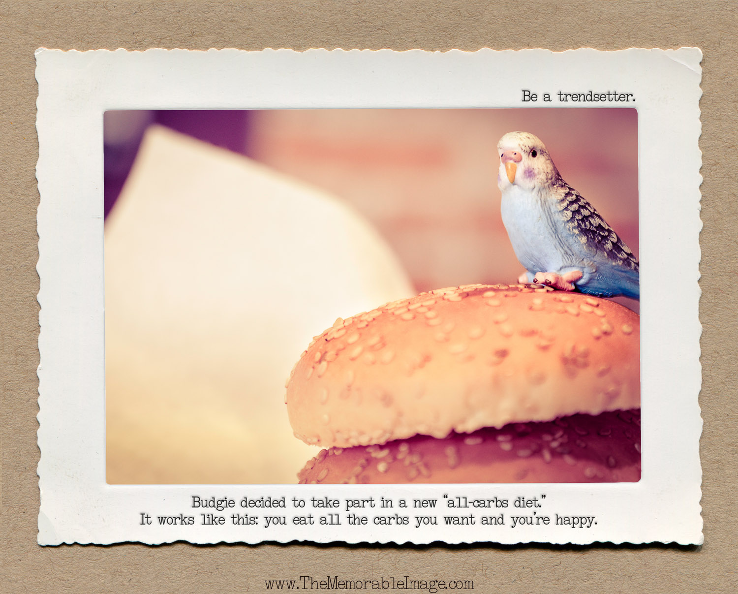 8x10_April_Budgie Burger.jpg