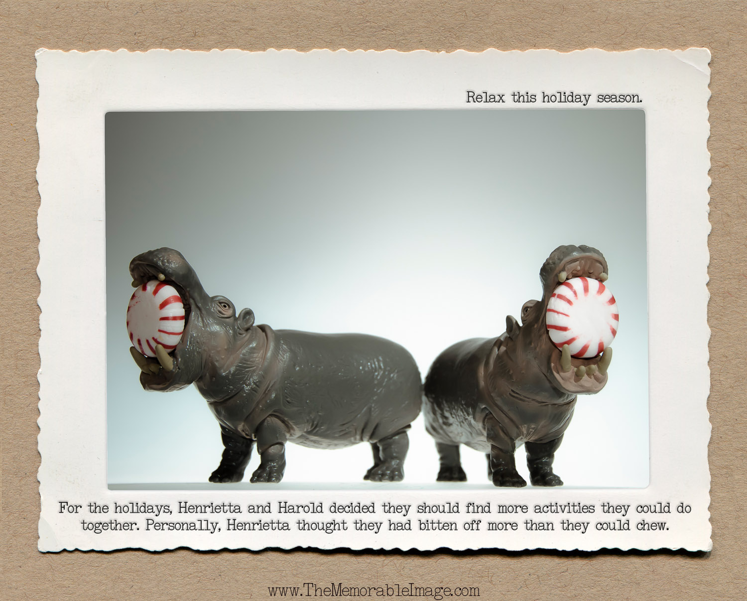 8x10_Dec_Hippo Pepermint.jpg