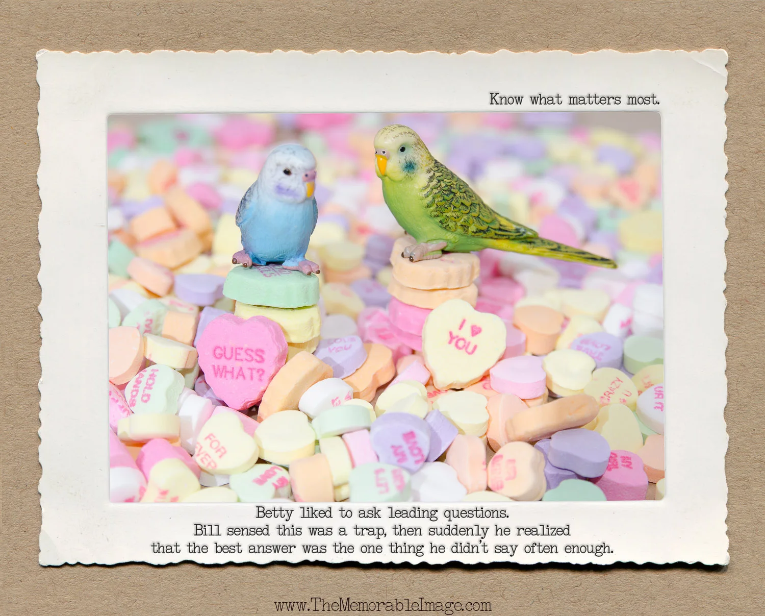 8x10_Feb_Budgie Hearts.jpg