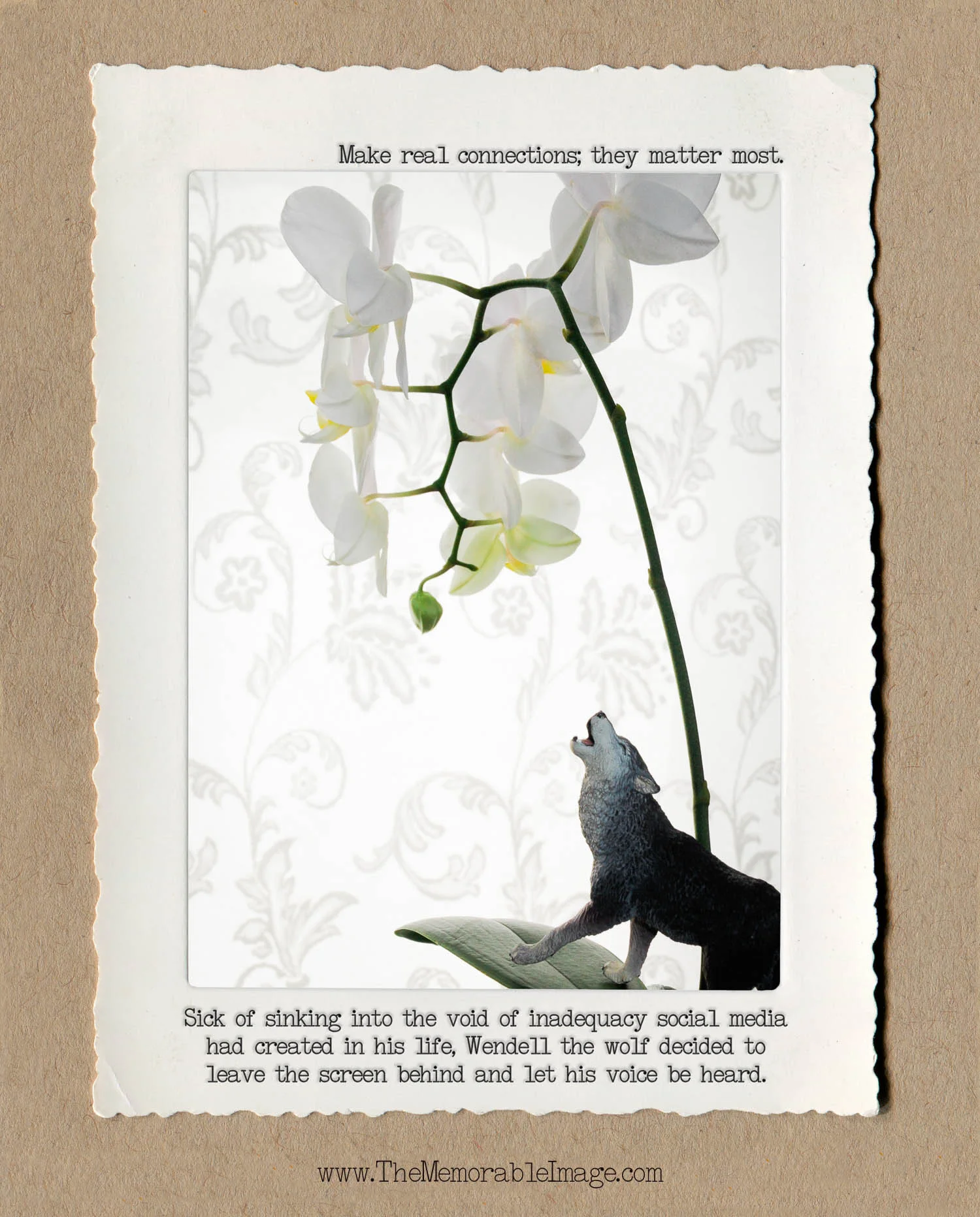 8x10_Vert_Nov_Wolf Orchid.jpg