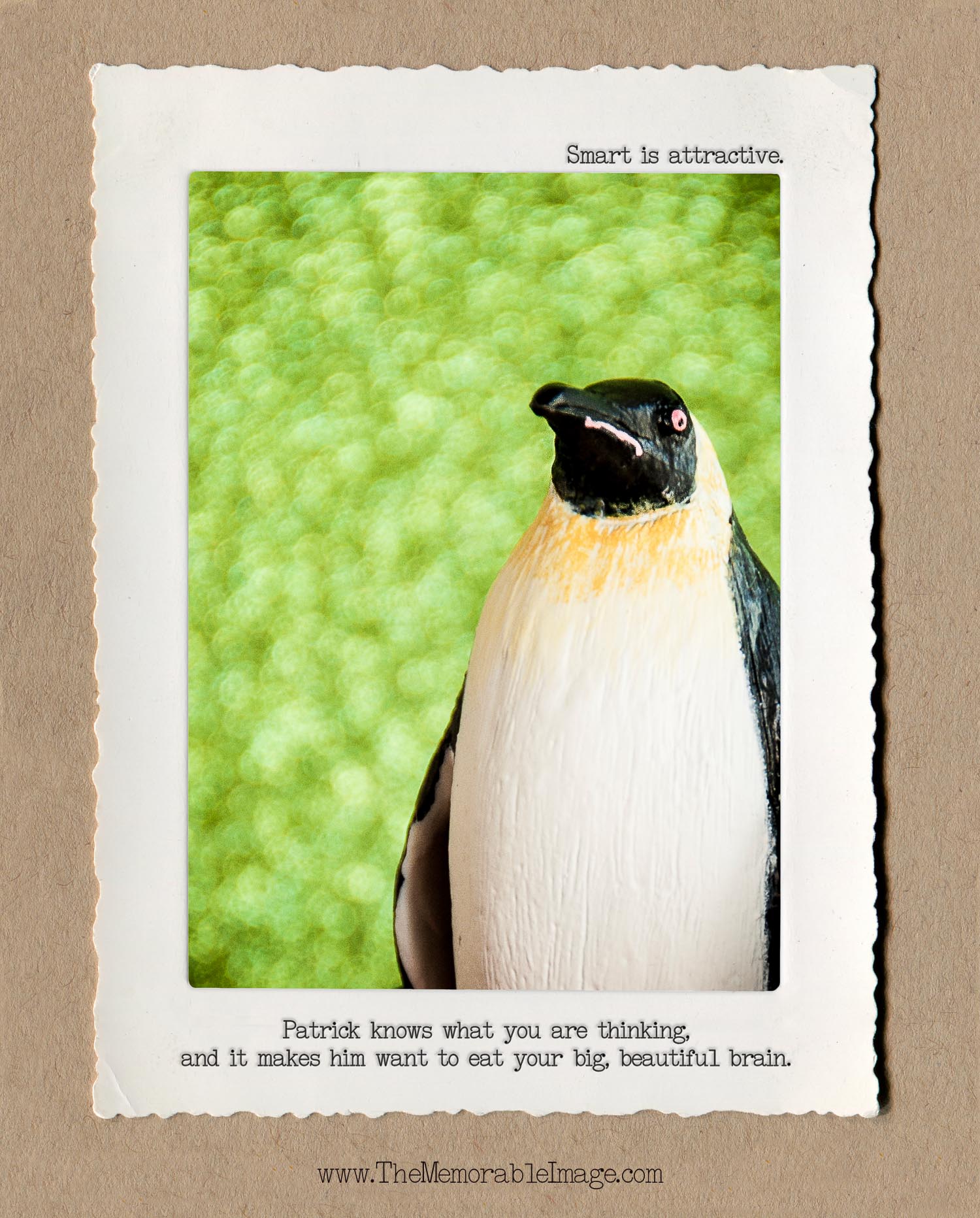 8x10_Vert_Oct_Zombie Penguin.jpg