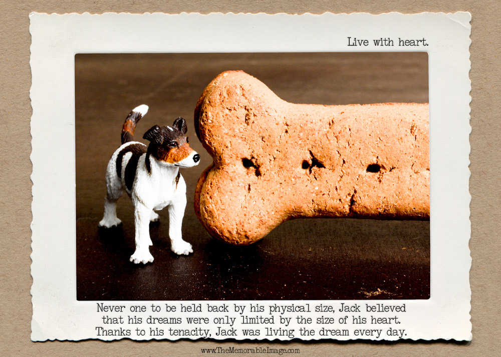 Dog_Bones_C_W.jpg