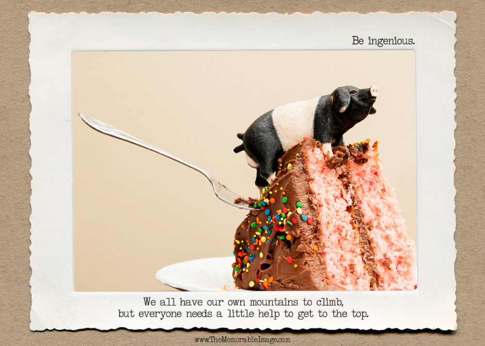 Pig_Cake_2_C_W.jpg