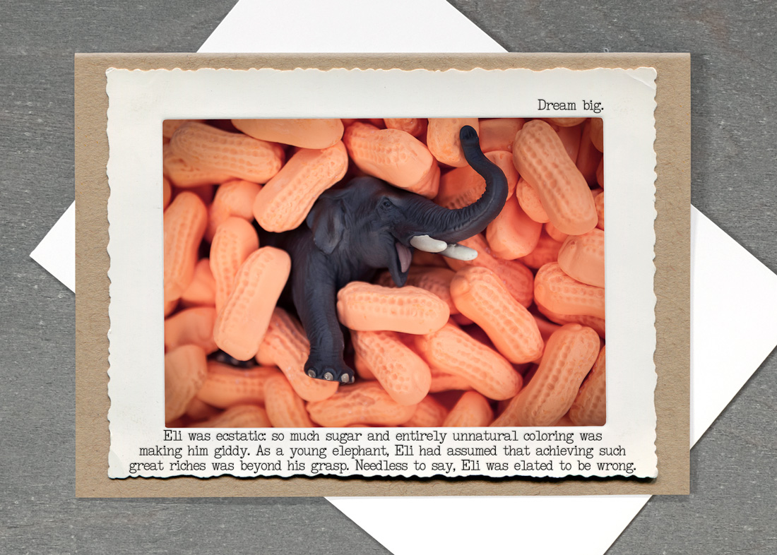 Elephant Peanuts • TMI-14ECP-C7