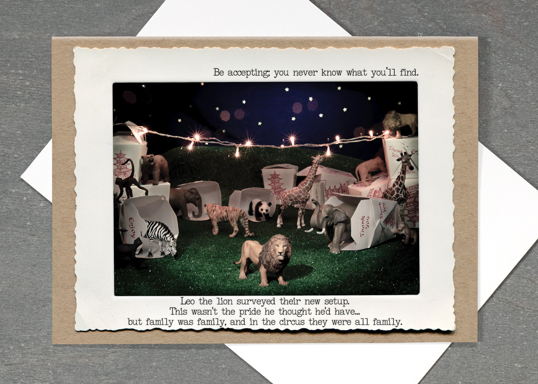 Night Circus • TMI-14NC-C7