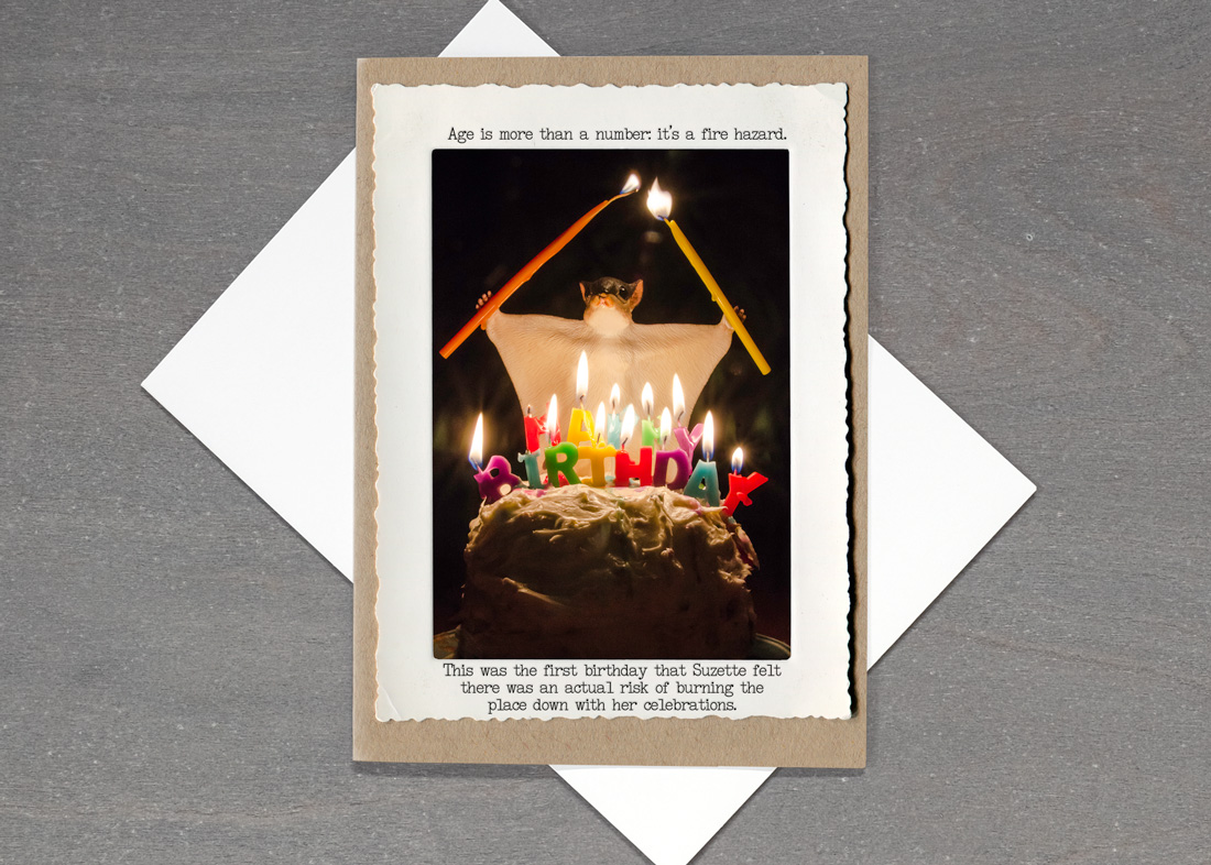 Flying Squirrel Bday • TMI-16FSBD-C7