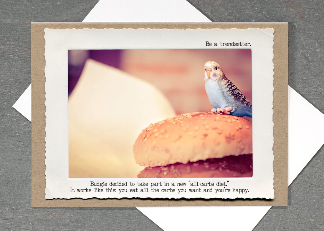 Budgie Burger • TMI-15BB-C7
