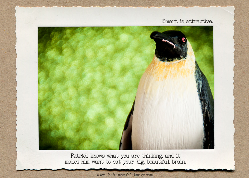Zombie_Penguin.jpg