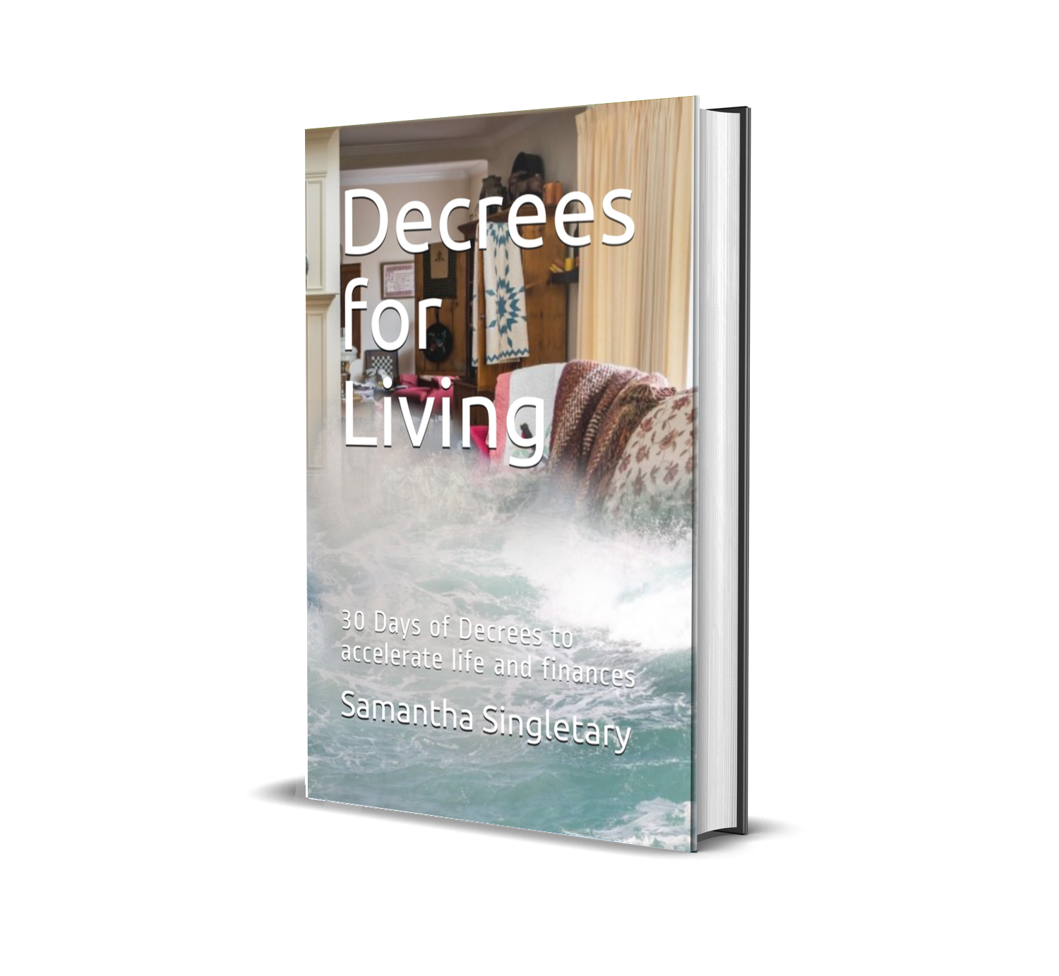New PNG Book Cover .png