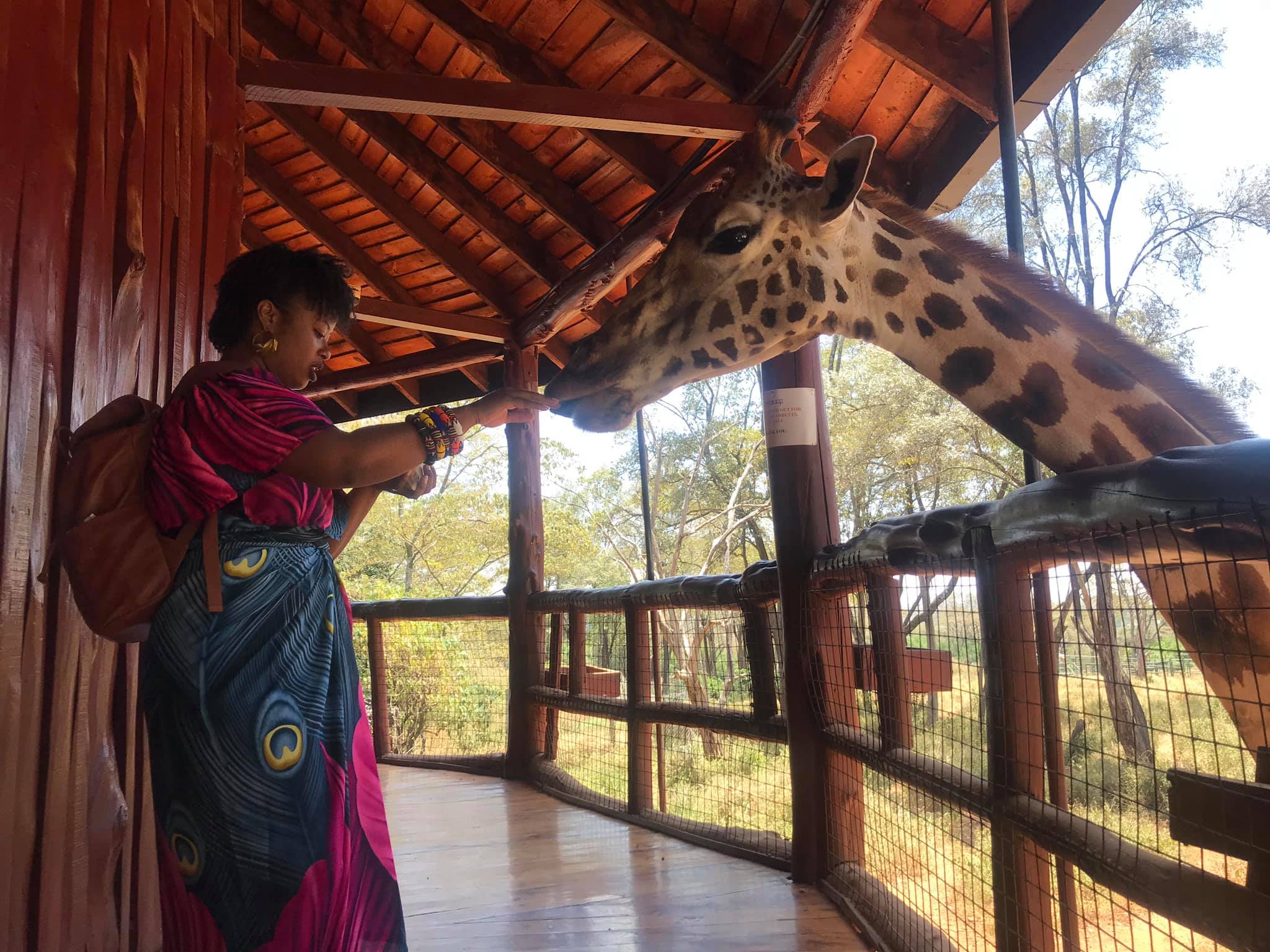  Definitely go to the Giraffe Center. I mean its Giraffes and you can feed them. It took us about an hour to get there from Westlands. Costs a 1000 Kenya shillings to enter. Thats about $10. They accept debit cards. I used my Sierra Leone issued UBA 
