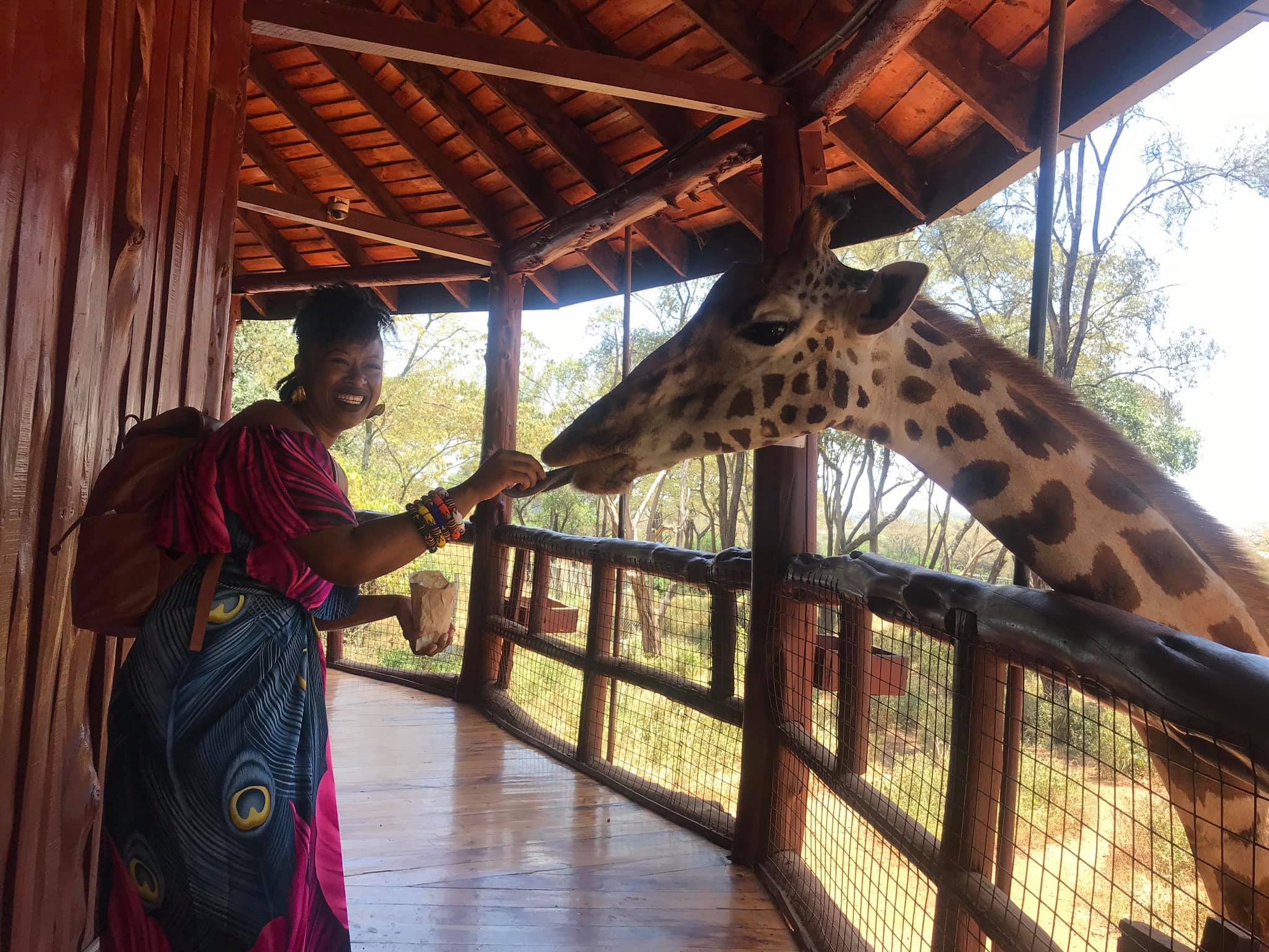  feeding Salma again at Giraffe Center 