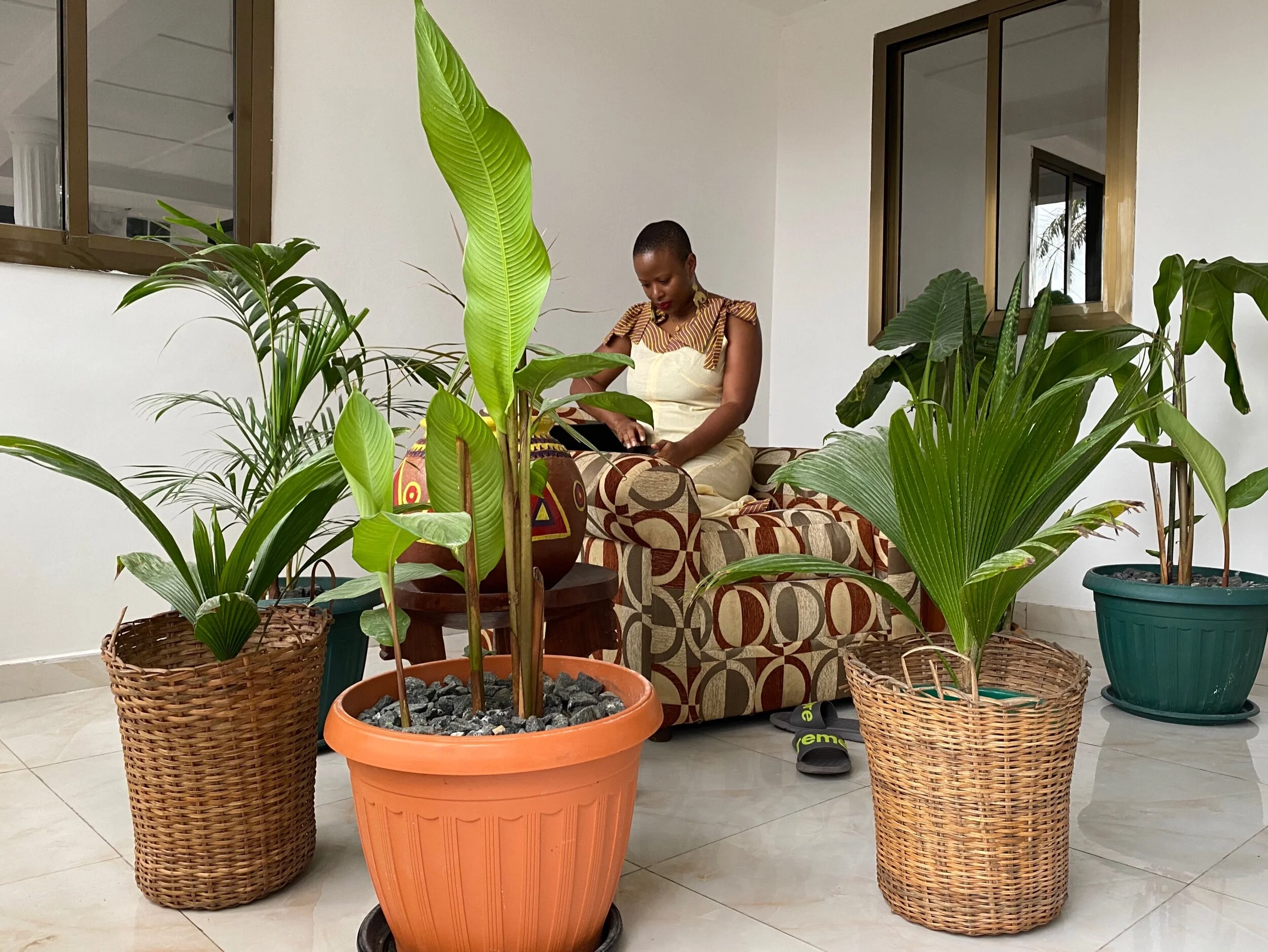 Why 2020 Was My Best Year: From Breakdown to Breakthrough