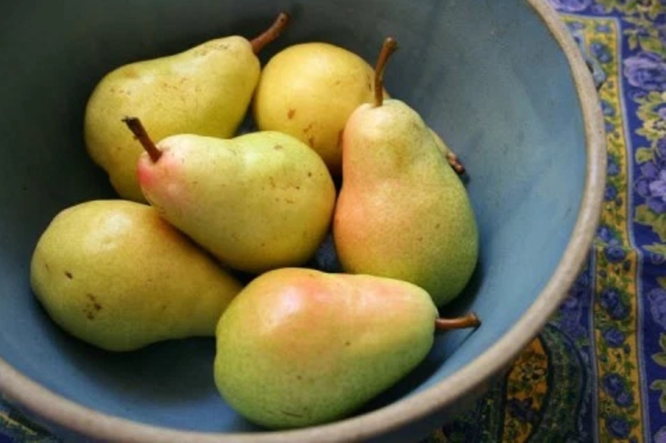 pears.jpeg