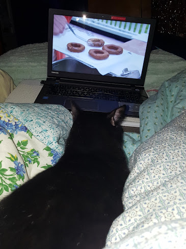 Jovi learning how to make doughnuts. If he learned how to clean his own litter box I would be joyous over that.