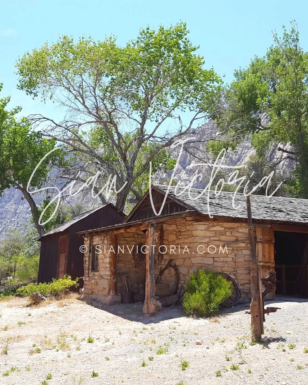 Spring Mountain Ranch State Park - Las Vegas, Nevada — Sian Victoria.