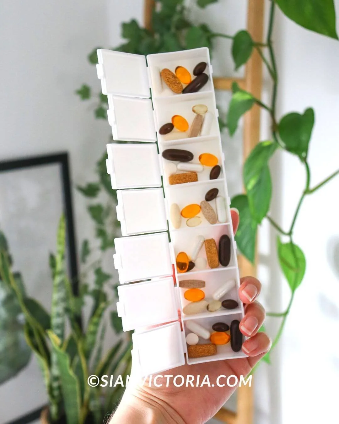 10 Best Nutritional Health Supplement Brands for Vegans — Sian Victoria.