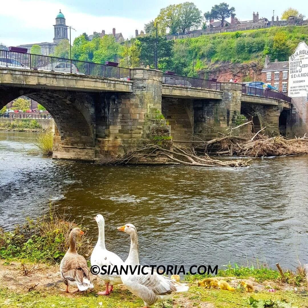 9 Best Historic Towns & Places to Visit in West Midlands — Sian Victoria.