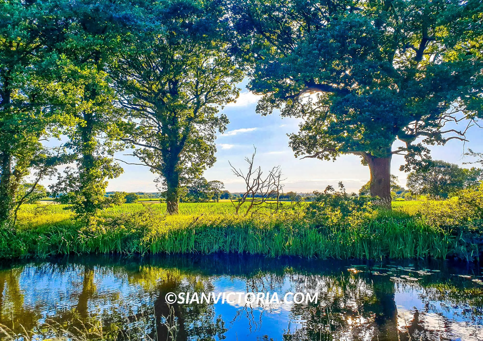 15 Best Walking Trails & Nature Reserves in Midlands — Sian Victoria.