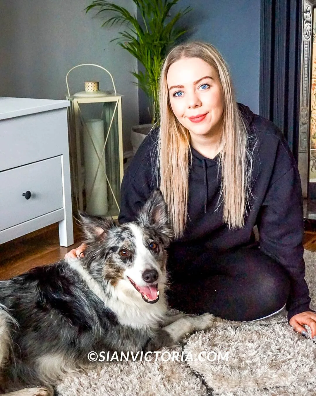 Dog Dental Care How to Care for your Dog’s Teeth — Sian Victoria.