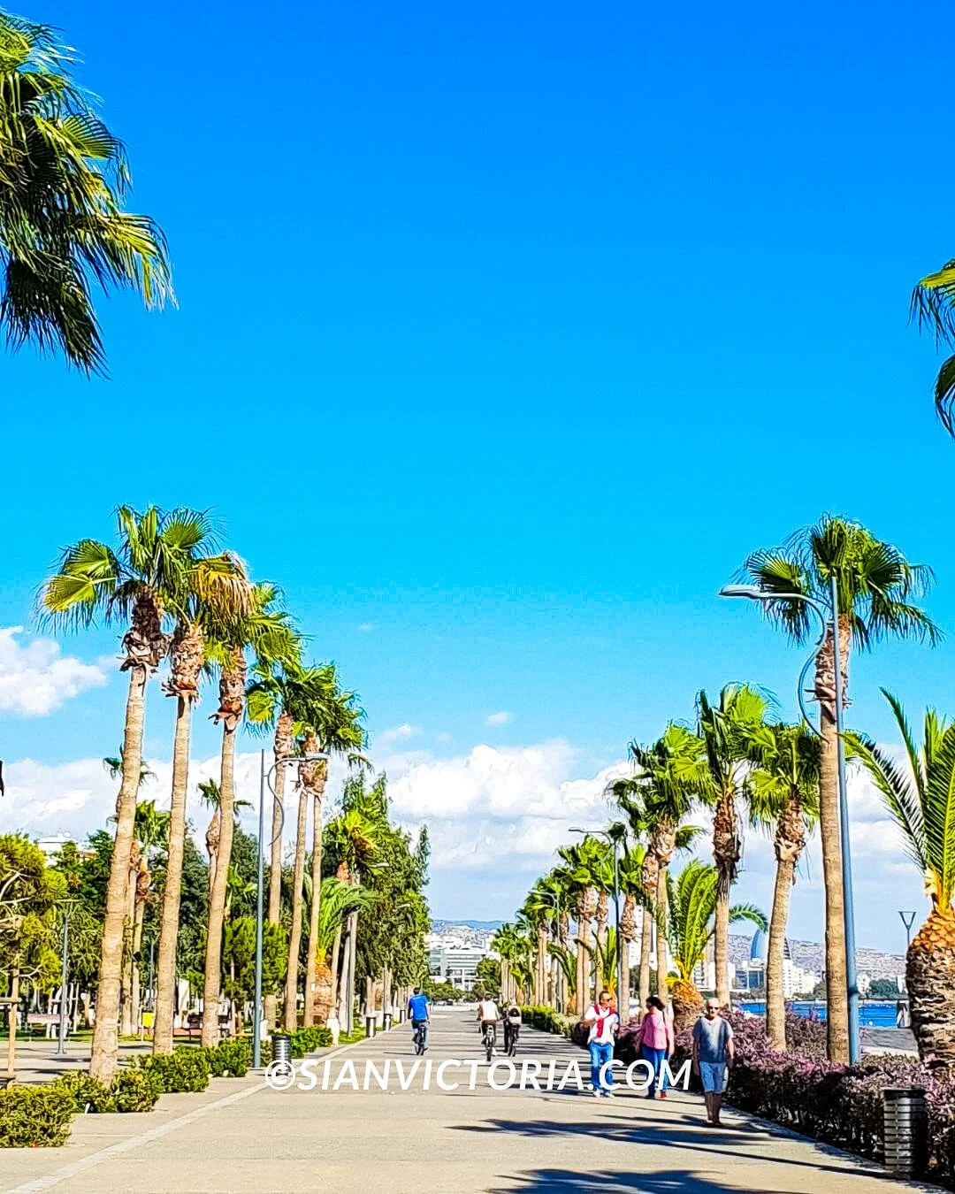 12 Cultural Thing's to See and Do in Paphos, Cyprus — Sian Victoria.