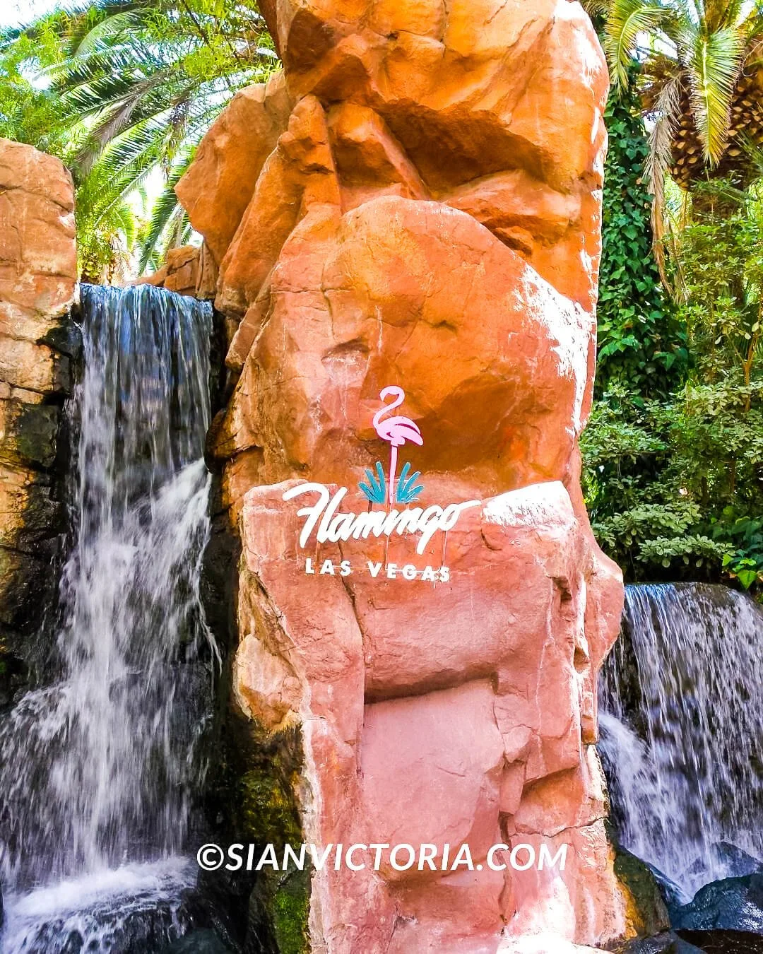 Flamingo Wildlife Habitat - Free Las Vegas Attractions — Sian Victoria.
