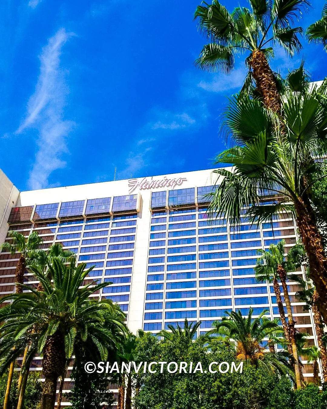 Flamingo Wildlife Habitat - Free Las Vegas Attractions — Sian Victoria.