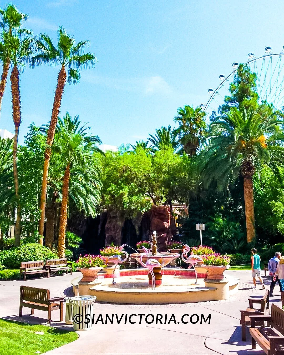 Flamingo Wildlife Habitat - Free Las Vegas Attractions — Sian Victoria.
