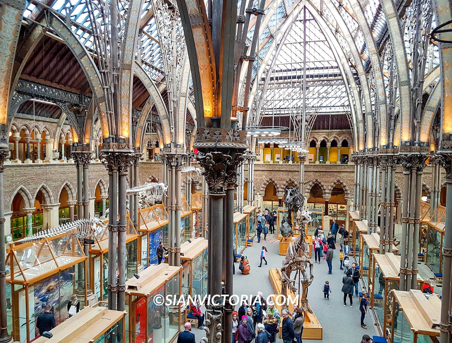 14 Best Things to do in Oxford Sightseeing & Attractions — Sian Victoria.