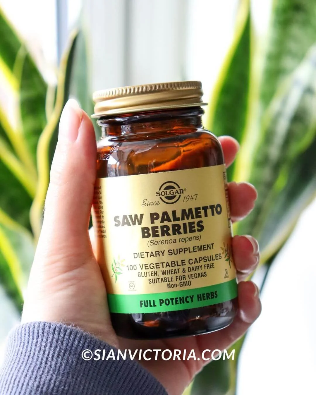 10 Best Nutritional Health Supplement Brands for Vegans — Sian Victoria.