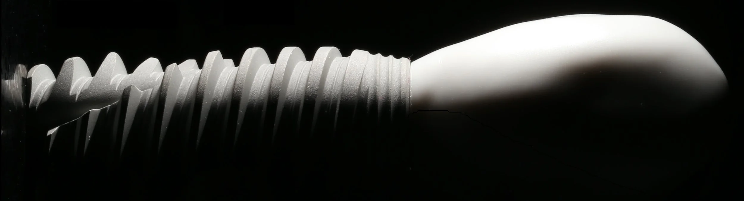 NEW LOGO TOOTH.jpg