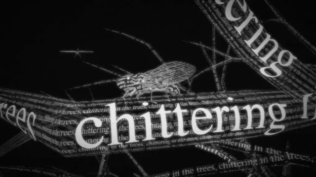 Audio Description Promo - Sky