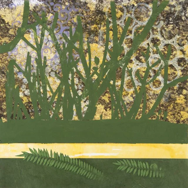Ferns and Trees