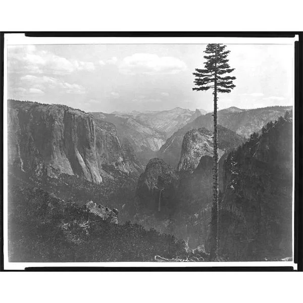 Yosemite National Park by Carleton Watkins