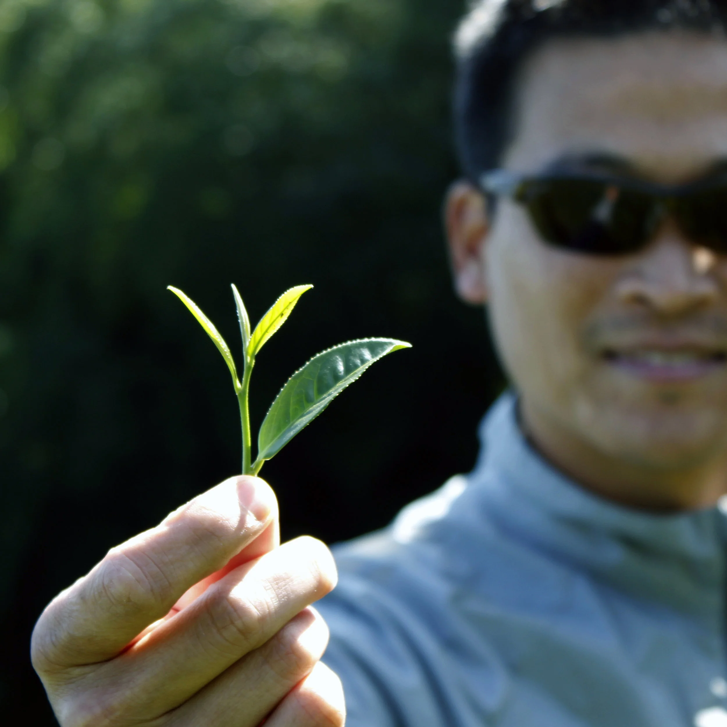 GilWithLeaf.jpg