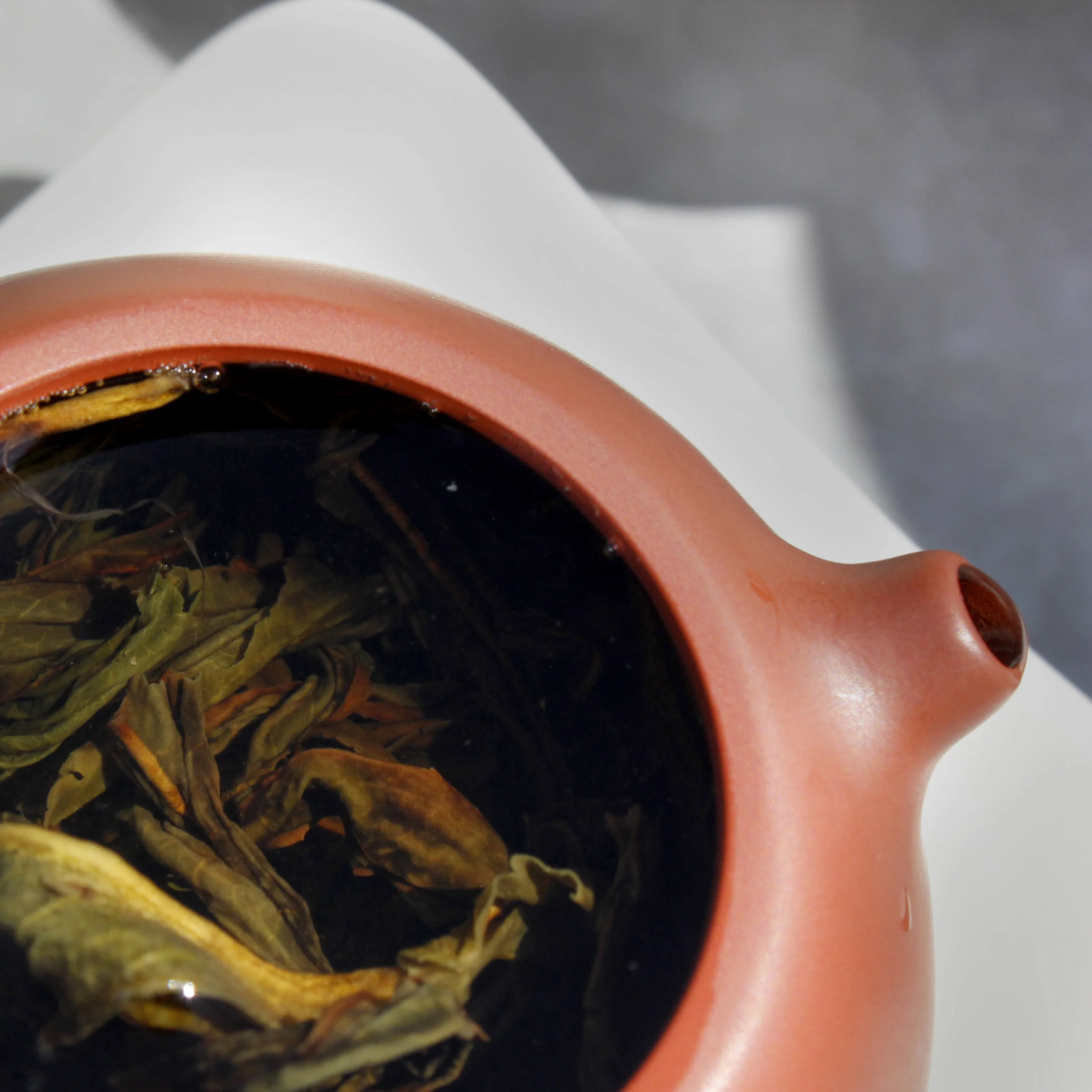 wudong-lao-cong-old-tree-whole-leaf-loose-leaf-oolong-tea-itw1-2019a.jpg