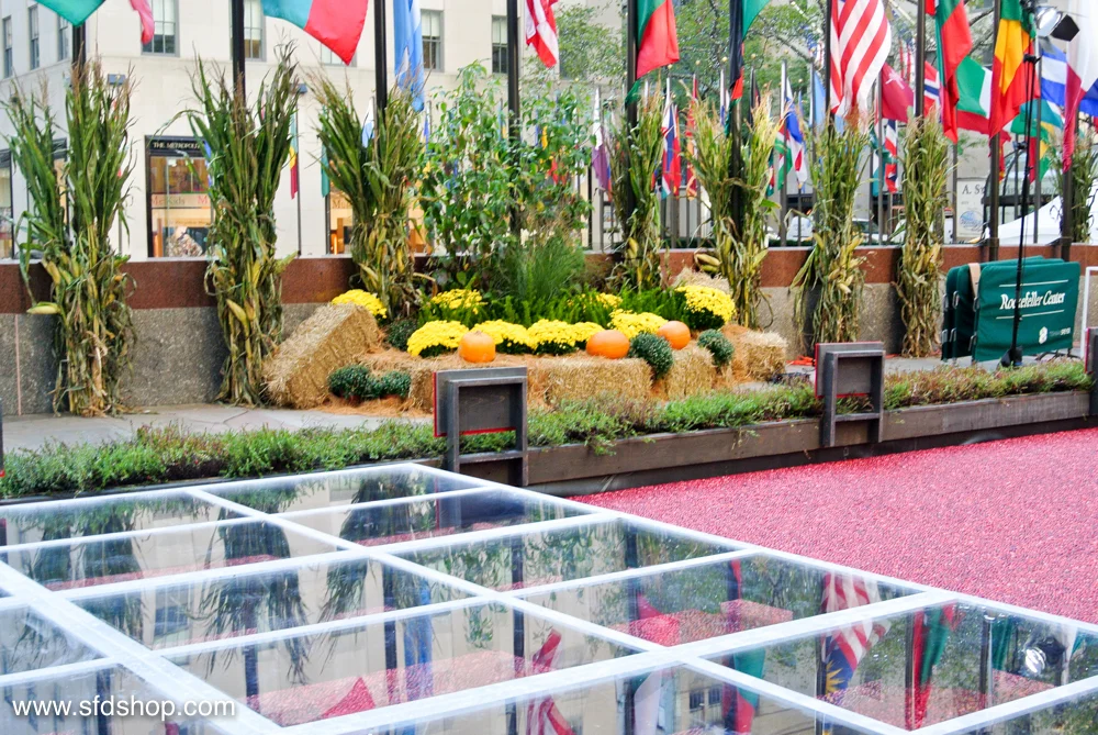 Ocean Spray Big Apple Bog fabricated by SFDS -1.jpg
